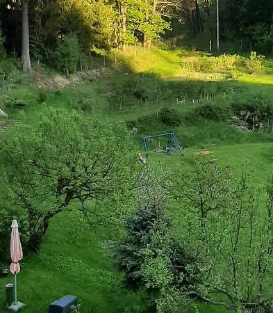 Pod Modrzewiem Mieszkania Wakacyjne Duszniki Zdrój Exteriér fotografie