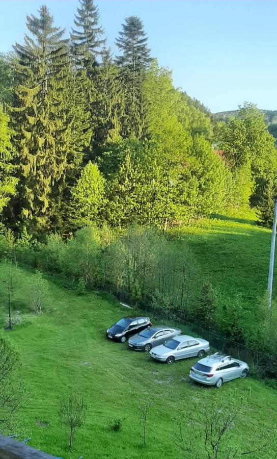 Pod Modrzewiem Mieszkania Wakacyjne Duszniki Zdrój Exteriér fotografie